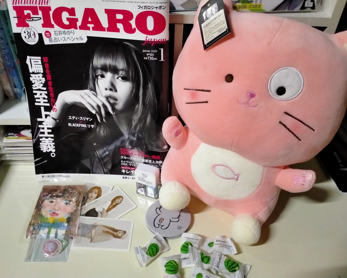 (slow) ✱ 𝕟𝕖𝕒𝕡𝕘𝕟𝕠𝕡 𐐪ї𐑂: tweet media