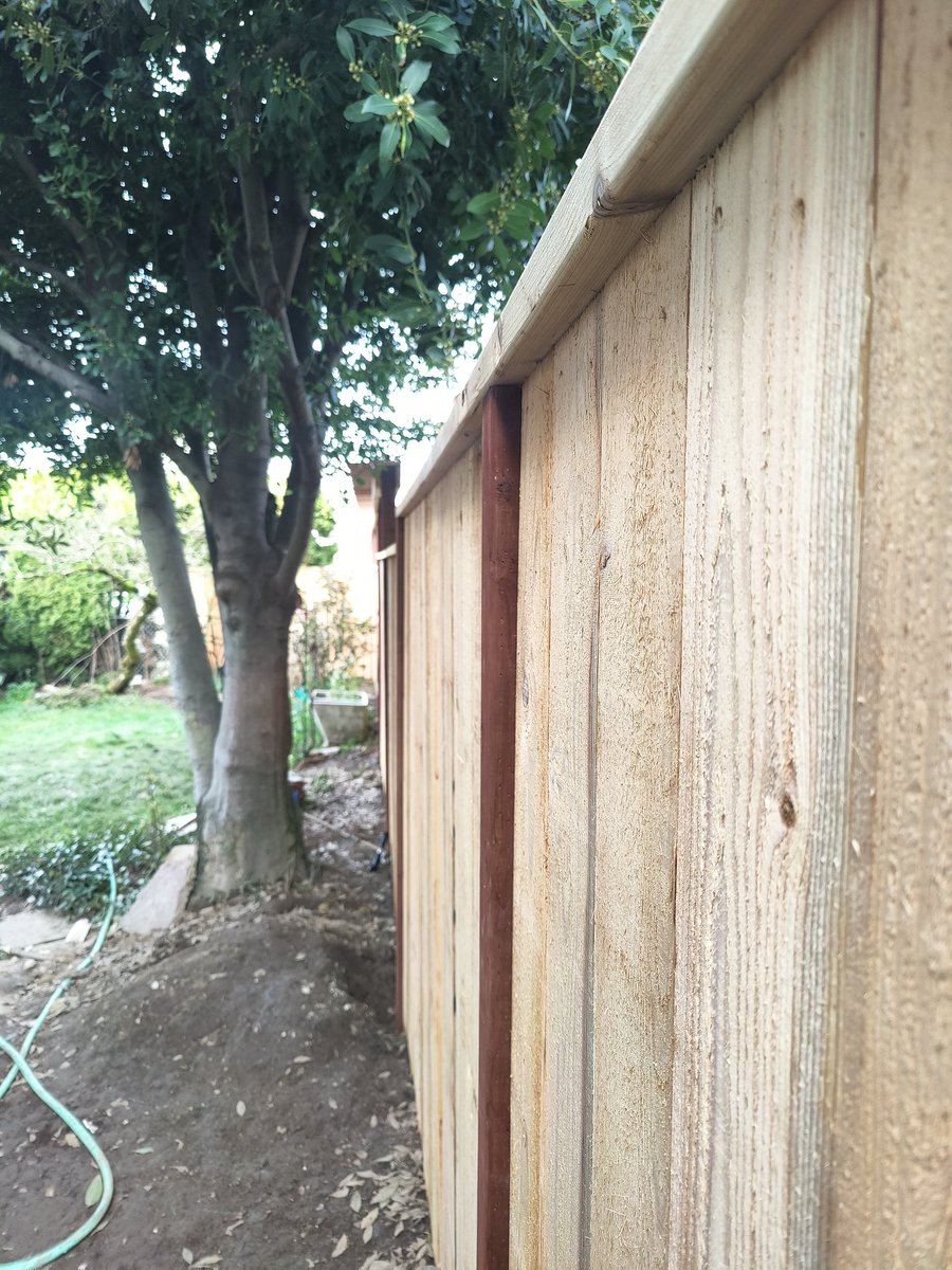 Cedar fence and trellis
.
.
.
.
#carpenter #PNW #2022 #Live