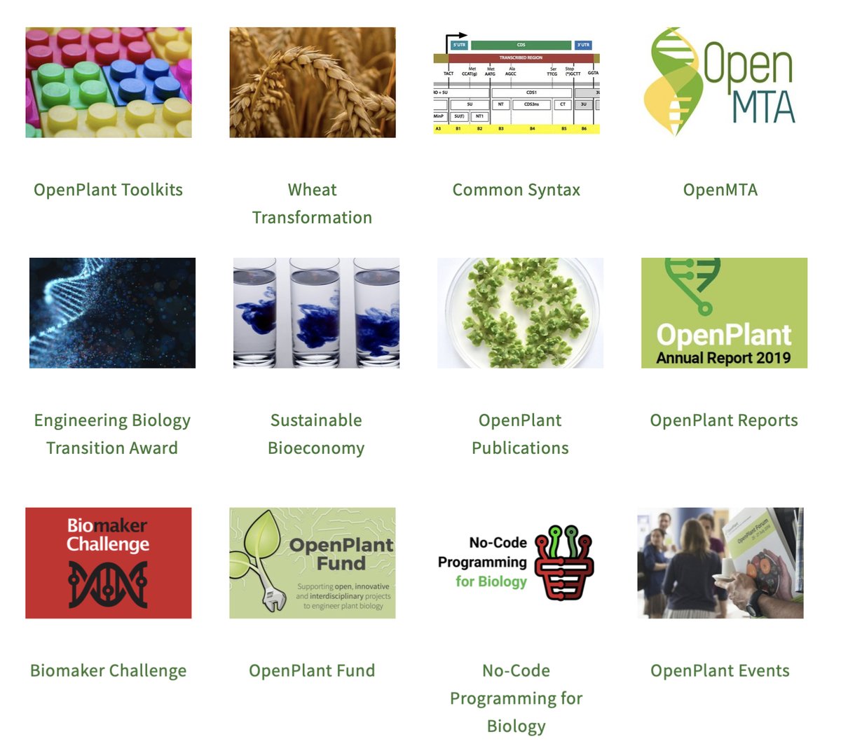 jimhaseloff's tweet image. Check out OpenPlant resources, after 8 years promoting the sharing of tools plant biotechnology and synthetic biology:
(openplant.org/blog/2022/3/29…)