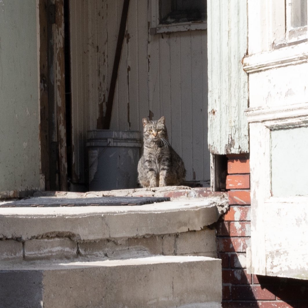 Cameras and Coffee with Imxandr

📍- Detroit, MI

📆 - February 27th, 2022
