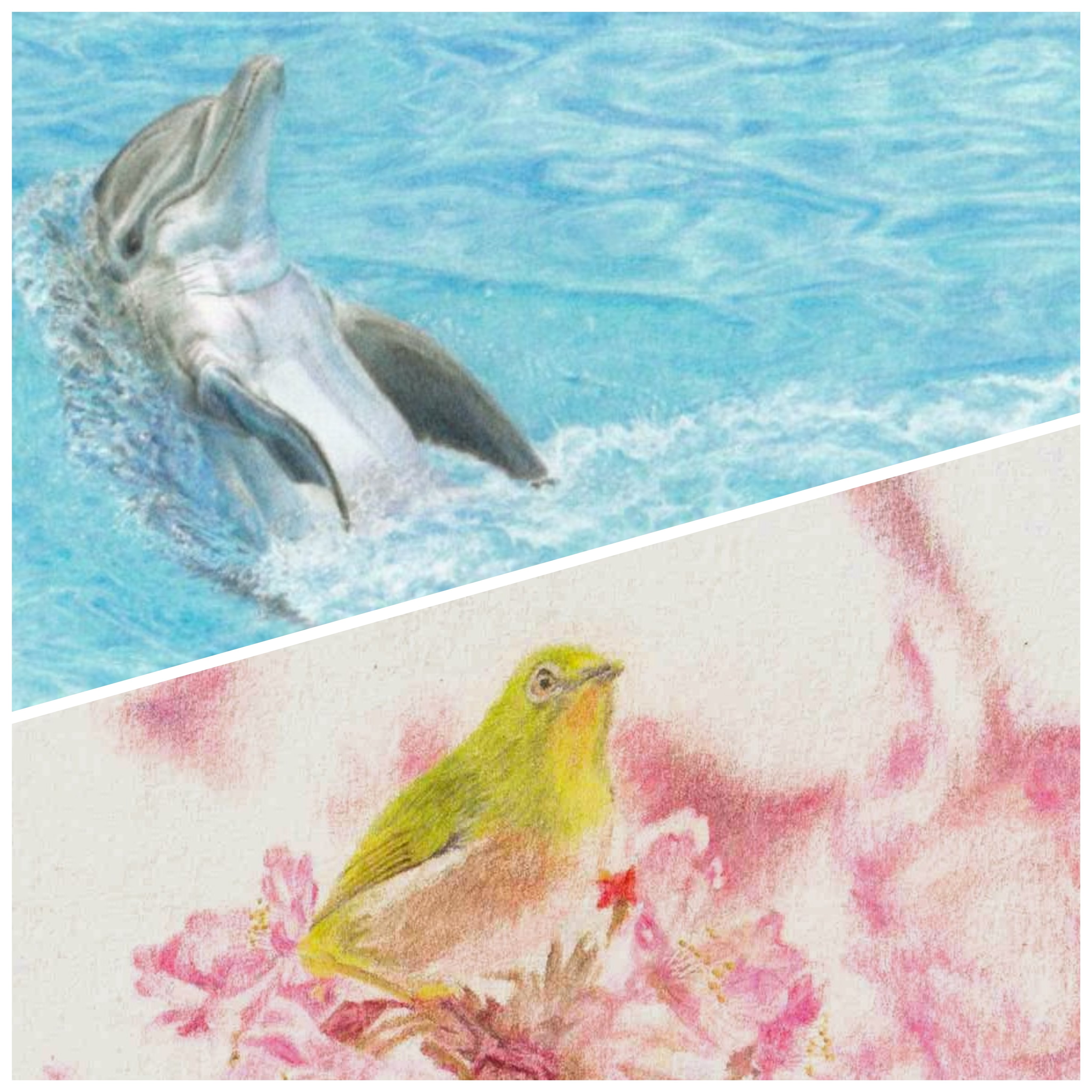 動物画 Twitter Search Twitter