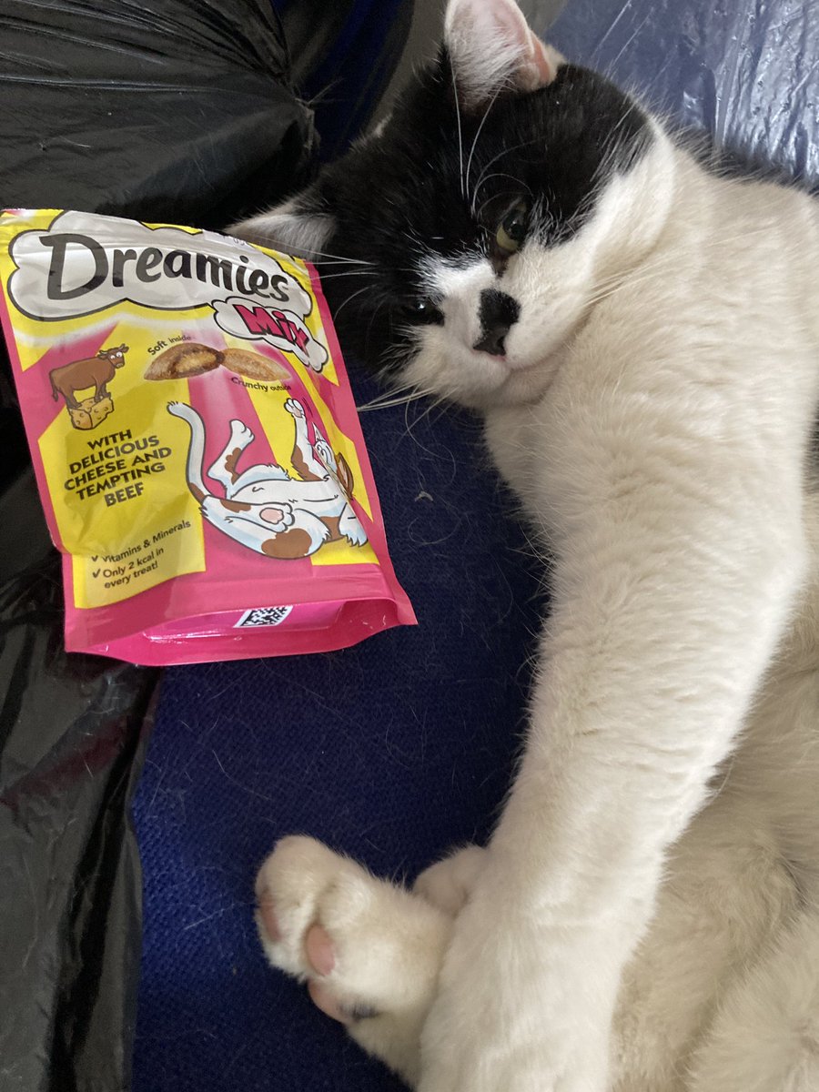 stationmoggy's tweet photo. Thankyou Holmfirth Pet Centre for the treats ๐๐ผ๐๐โโฌ๐พ๐ฎโโ๏ธ https://t.co/yHYSmTyhcS