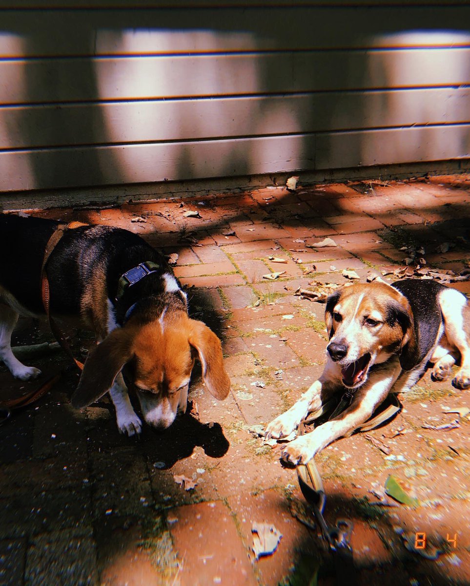 my new single “Everything Is Ok!” is out now everywhere <3

link below

illustration by @/zac_siravo (insta)