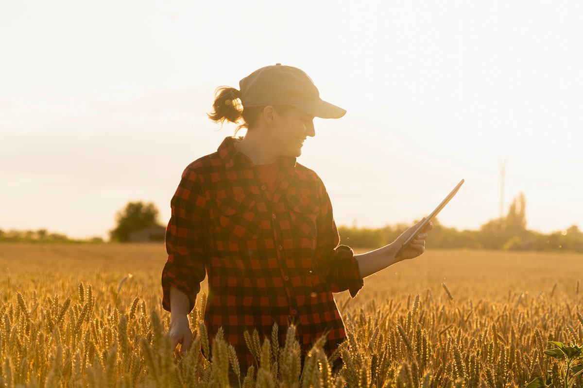 Success for Winter Cereals relies on collaboration as well as idea and knowledge sharing between producer groups such as @albertawheat and <a href="/mb_cropalliance/">Manitoba Crop Alliance</a> and #SaskWinterCereals.