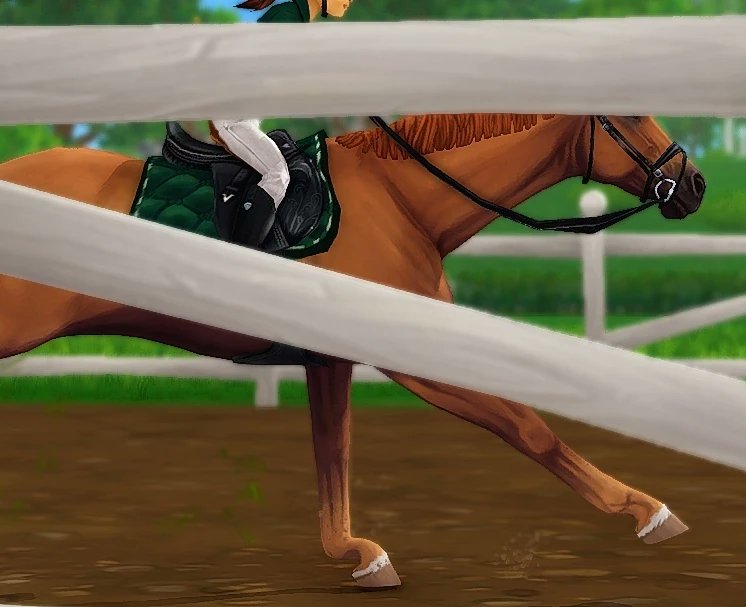 EveBravesmith's tweet photo. Here's another SSO one🙈 Braroness' racetrack looks amazing💕

I will try and get some more pictures in Horizon Forbidden West later...

#starstable @StarStable #ssoedit #ssophoto https://t.co/SVNcI6B9ku