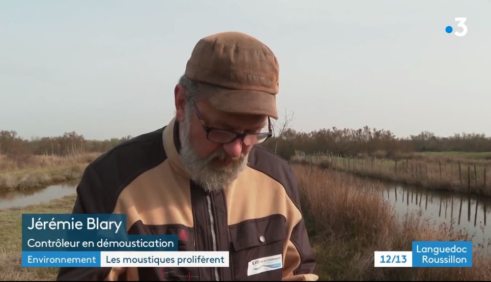 EIDMediterranee's tweet photo. #REPORTAGE🦟 | @F3Occitanie était sur le terrain pour les premiers épisodes conséquents de mises en eau en 2022 et les traitements de #demoustication afférents de l'#EIDMed.
Diffusion 29/03 (hier), aux #JT du 12/13 et du 19/20 :
Replay à 6’09 -> 8’05
→ https://t.co/63qiq4UNkV https://t.co/RAtEtWUbwi