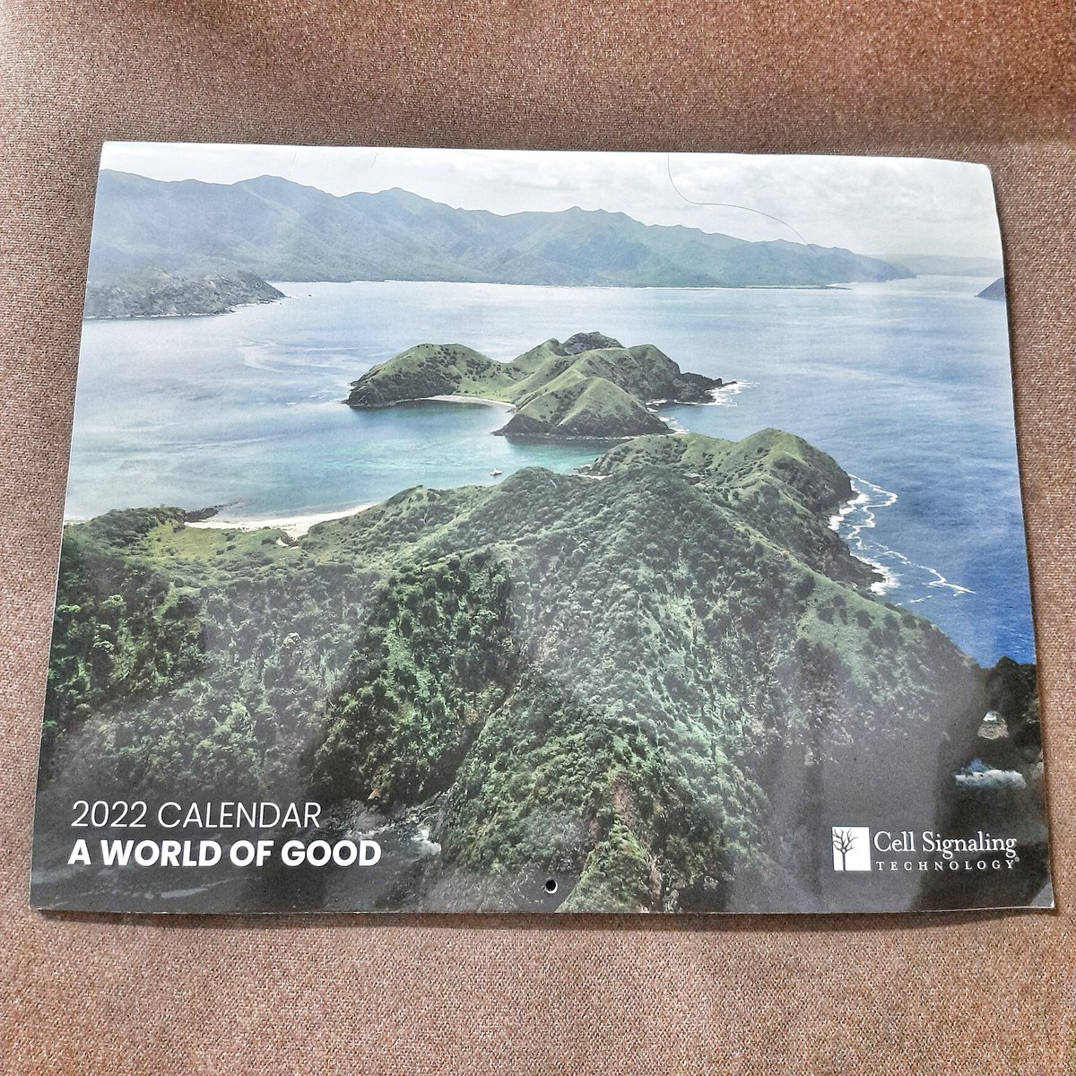 mnj256's tweet photo. Thank you @CellSignal for the amazing calendar.
#cellsignal #cellsignalingtechnology 
#calendar #2022calendar 
A world of Good. https://t.co/zawMzBDgFI