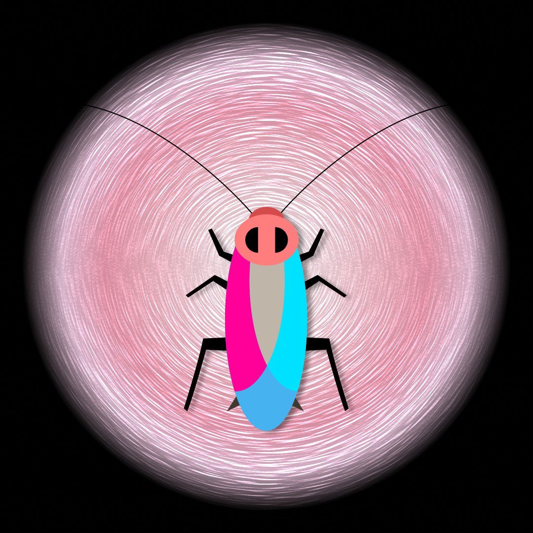 roachmetaverse's tweet photo. Lovely pink! We want to prove that even girls would like our roaches.

#nft #roachintometaverse #blockchains #nftcommunity #nftart #nftcollector #opensea https://t.co/8VJBN1NOrE