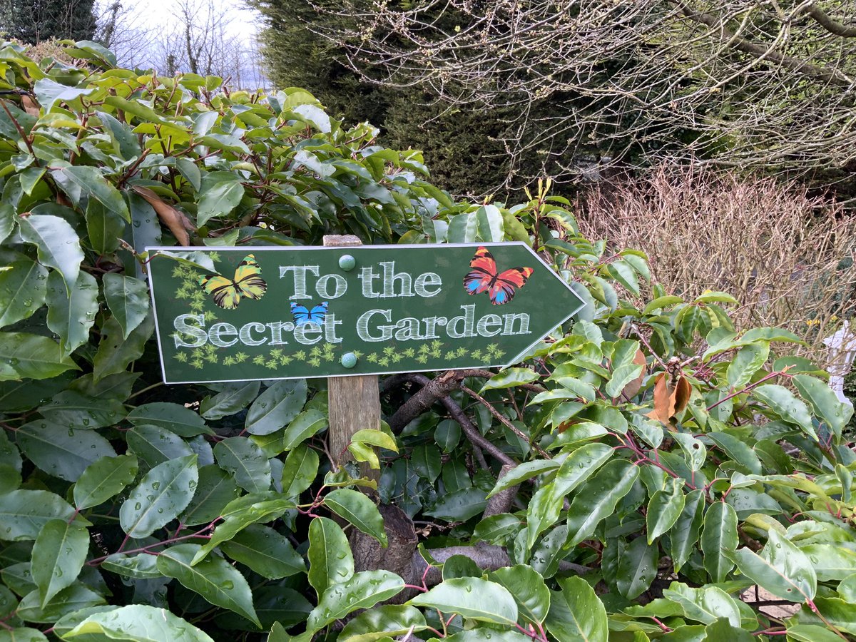 Agnes Houston MBE tweet media