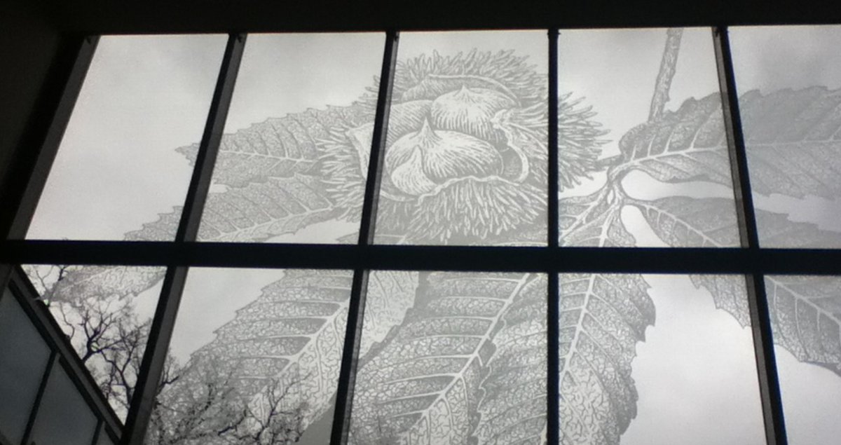 LehighEcology's tweet image. #ees028