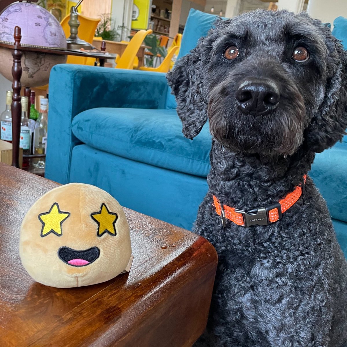 You can buy one of our plushies for the first time ever 🥔

100% of the proceeds will be donated to the charity Children's Town Ukraine to support the country's most vulnerable children, orphans and families.

bit.ly/3tSMwvk