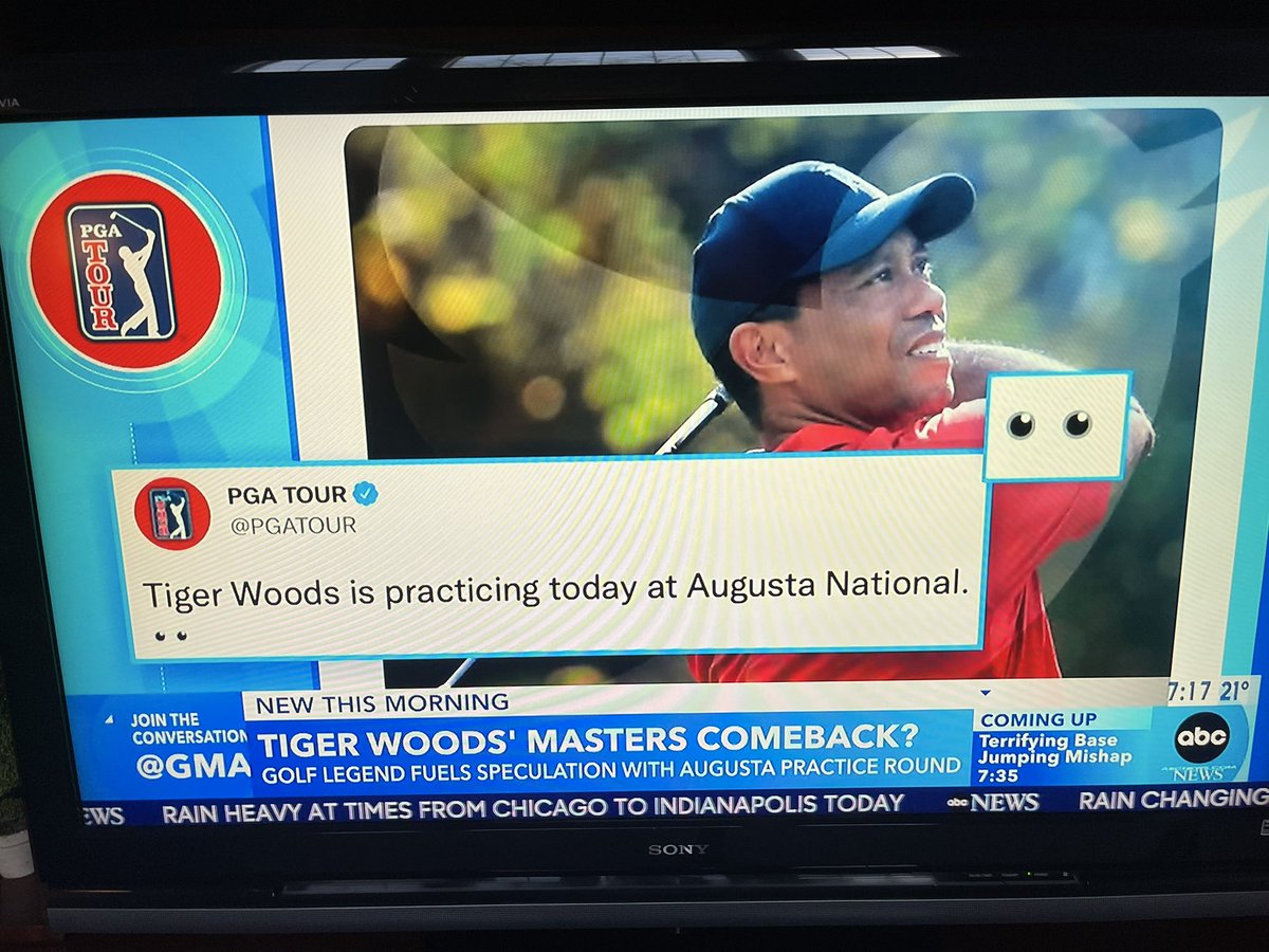 Things you love to see on the morning news