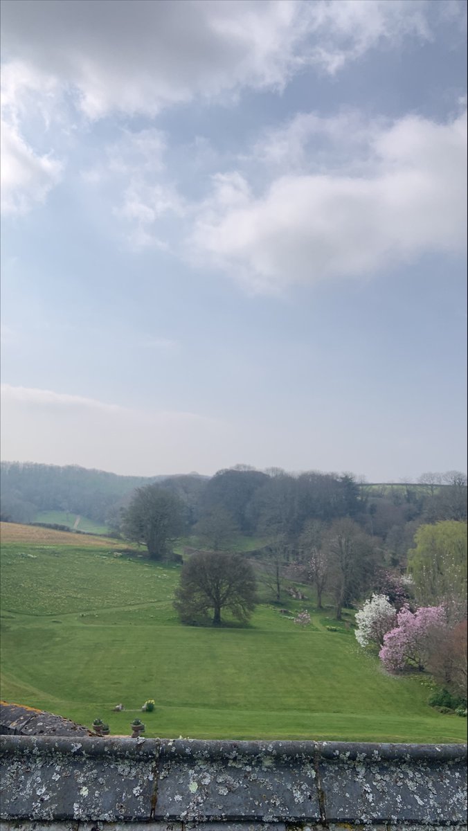 Total ICT tweet media