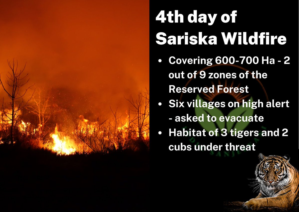 indicsanjeevani's tweet photo. #Forestfires raging throughout the country - Madhya Pradesh, Odisha, Chhattisgarh and Jharkhand top the list. #SariskaTigerReserve has been burning since Sunday apart from 7 other #wildfires in Rajasthan alone.
https://t.co/anHckzP6OE https://t.co/aViUsQZcfk