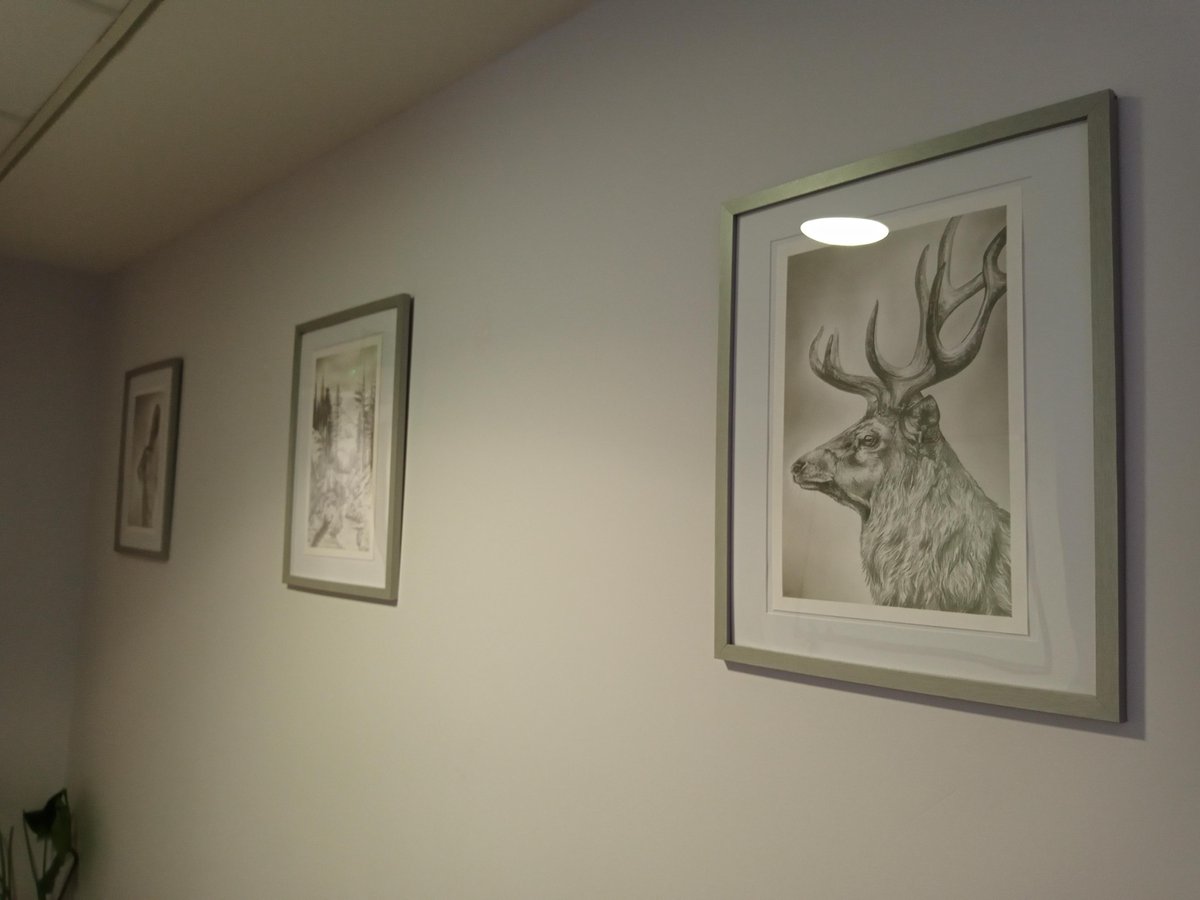 VidaHealthcare1's tweet photo. We would like to say a big thank you to our amazing Lauren on Glades house at Vida Hall. Lauren has spent her own time creating these outstanding pieces of artwork for her residents and colleagues to enjoy!  Well done Lauren and thank you! 😍
#VidaHealthcare #VidaHall #Harrogate https://t.co/p2ubMBGRvA