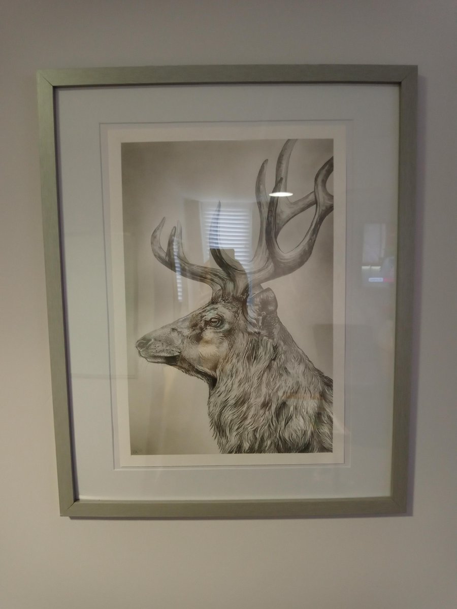 VidaHealthcare1's tweet photo. We would like to say a big thank you to our amazing Lauren on Glades house at Vida Hall. Lauren has spent her own time creating these outstanding pieces of artwork for her residents and colleagues to enjoy!  Well done Lauren and thank you! 😍
#VidaHealthcare #VidaHall #Harrogate https://t.co/p2ubMBGRvA