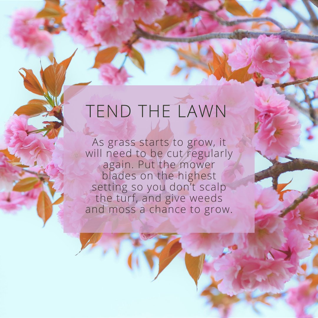 BASF_Nemasys_UK's tweet photo. Here we are, spring is in full swing! Hello April. 🌸🌷

Here are our top tips this month for enjoying your gardening space, take a look through:

#HelloApril #Springtime https://t.co/O8kR8BFID9