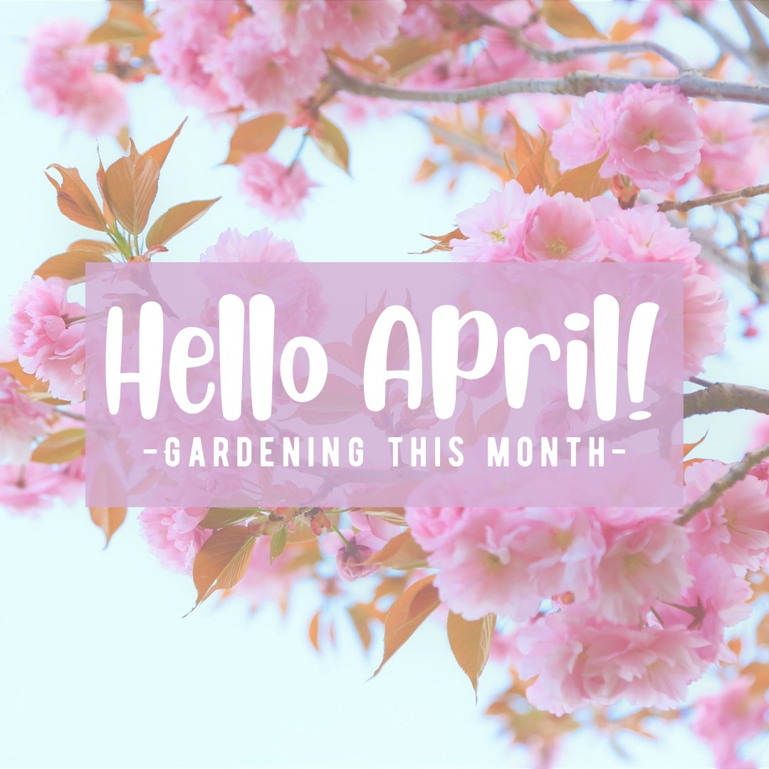 BASF_Nemasys_UK's tweet photo. Here we are, spring is in full swing! Hello April. 🌸🌷

Here are our top tips this month for enjoying your gardening space, take a look through:

#HelloApril #Springtime https://t.co/O8kR8BFID9