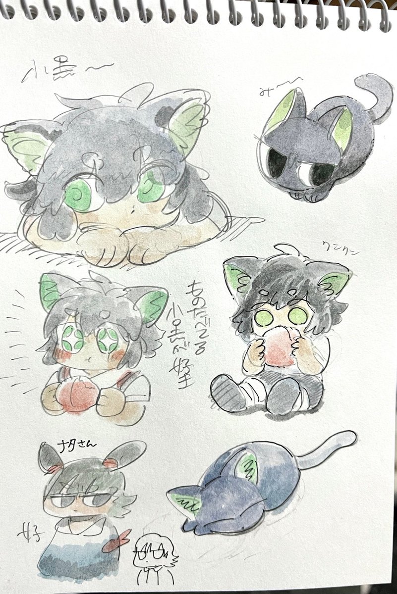 見てたので 