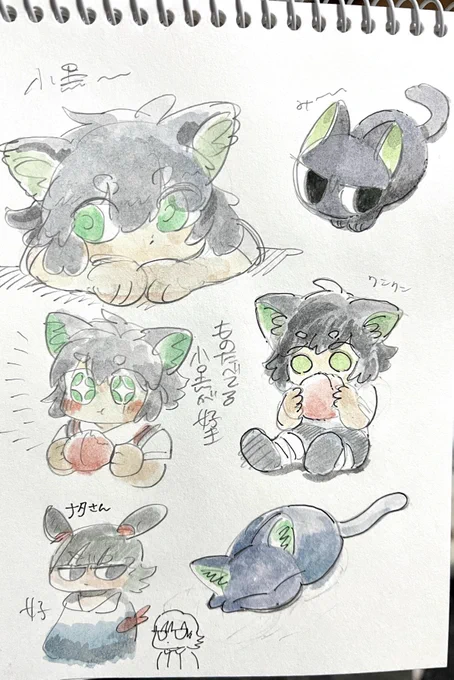 見てたので 