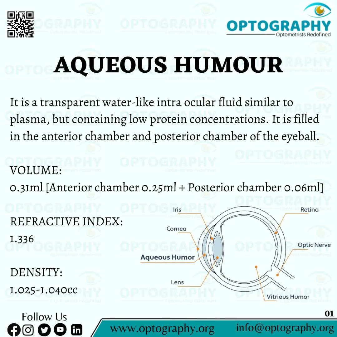Optography8's tweet photo. The aqueous humour is a transparent water-like fluid similar to plasma, but containing low protein concentrations. It is secreted from the ciliary body, a structure supporting the lens of the eyeball.
#aqueoushumour #eyecare #optometry #Optography #dilseoptometrist https://t.co/8sKI75E8yl
