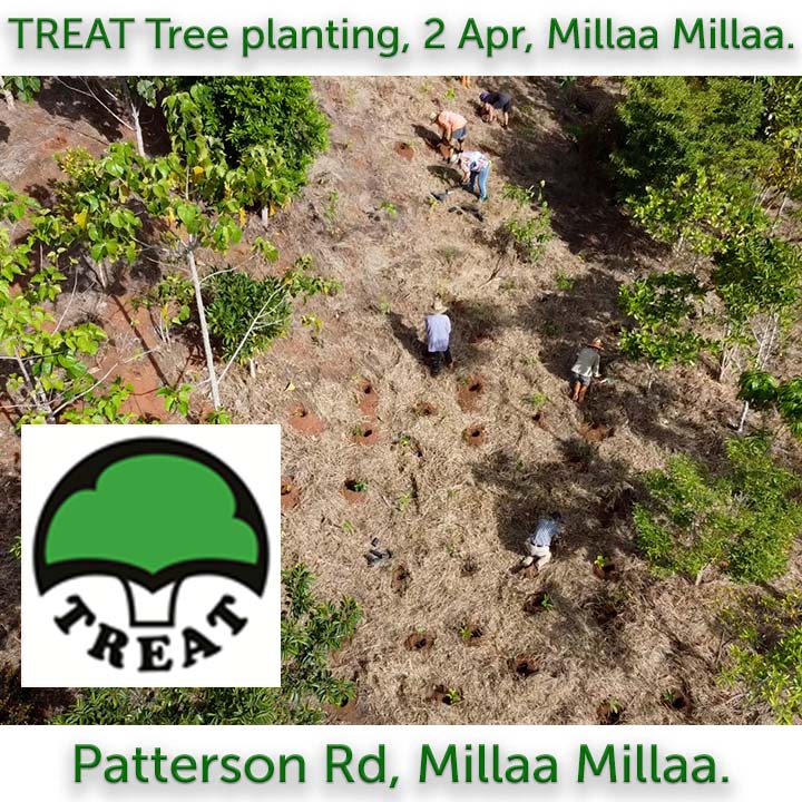 WetTropicsMA's tweet photo. Next planting this Saturday 2 April at Millaa Millaa!
The Authority is proud to support Trees for the Evelyn and Atherton Tablelands (TREAT).
8am, Patterson Rd, Millaa Millaa.
#AcceptActAdapt
#rainforest
#ForNature
See calendar for dates and places:
https://t.co/5JmBvKoDFD https://t.co/crHaE7RrzM