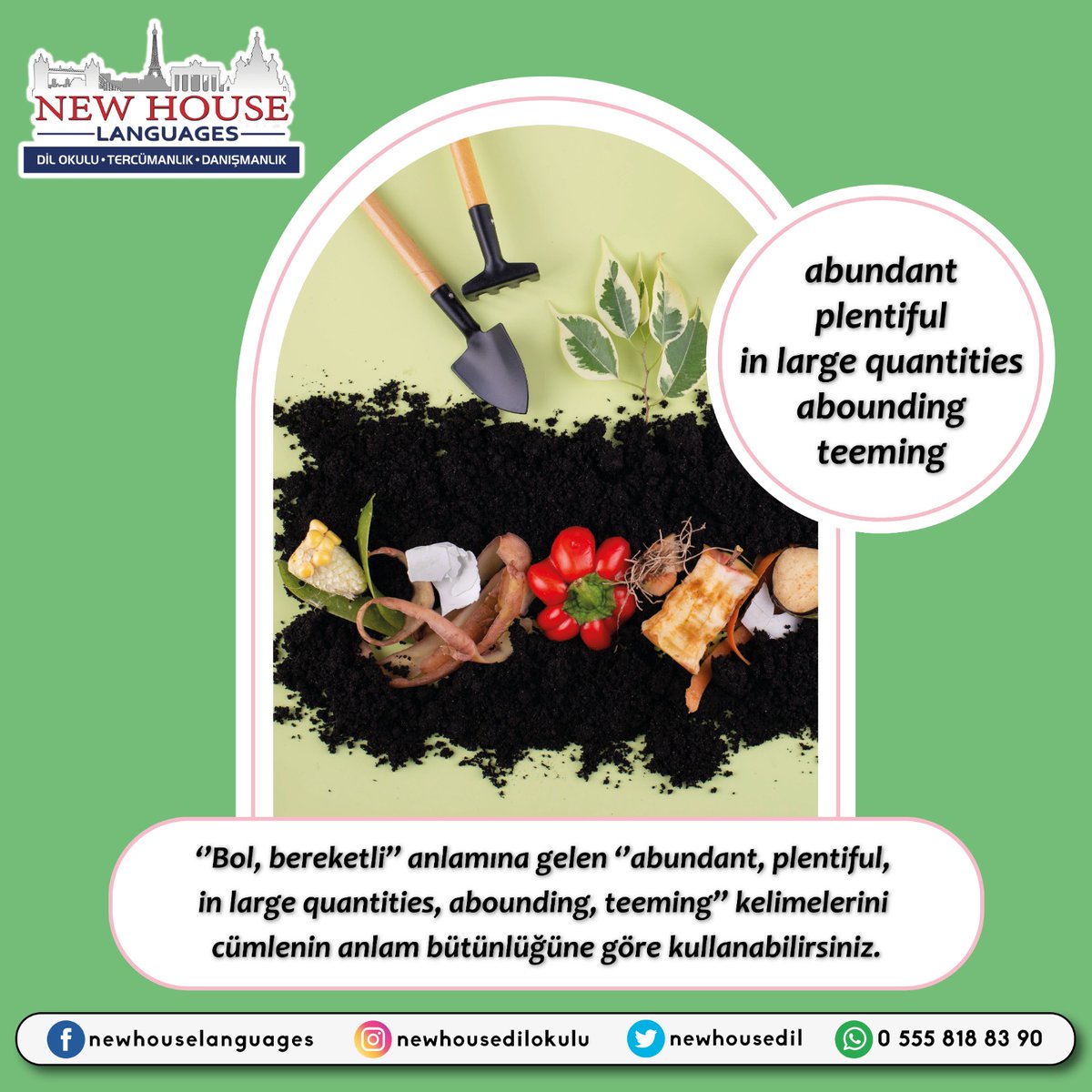 newhousedil's tweet photo. Her dilde olduğu gibi İngilizcede de aynı anlama gelen eş anlamlı kelimeler vardır.👌

''Bol, bereketli"anlamlarına gelen
‘’Abundant – plentiful – in large quantities – abounding – teeming’’ kelimelerini cümlenin anlam bütünlüğüne göre kullanabilirsiniz. ✌️ https://t.co/D3kwzoM3Rp