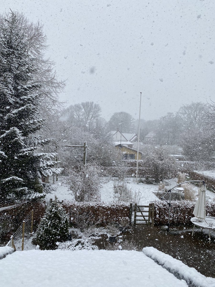 Wtf didnt look outside for 1 hour and suddenly its just Winter agin❄️❄️