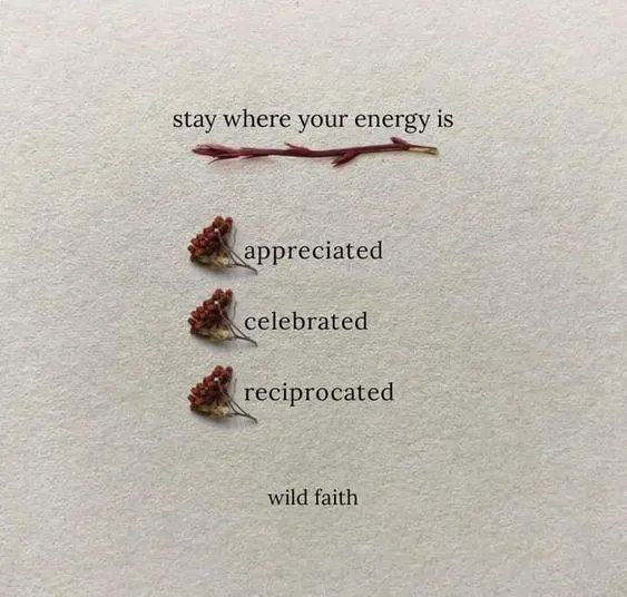 MoveMeQuotes's tweet image. Energy is everything.