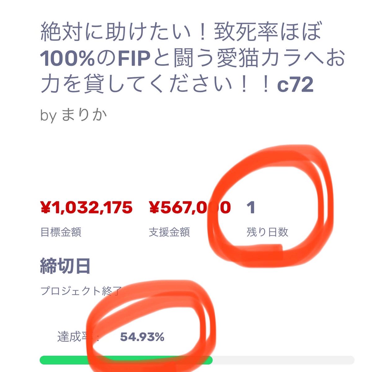 coco_k716's tweet photo. #クラウドファンティング 挑戦中‼️
ココに続き、カラもFIPに😭海外の薬しか治療法がなく、高額な治療費の為、お力添えお願いします🙇‍♀️残り1日で達成率54.93%💦
⏩https://t.co/C6HJLW28ej

#fip #猫伝染性腹膜炎 #猫好きさんと繋がりたい #猫  #猫のいる幸せ　#猫のいる暮らし #猫のいる生活 #拡散希望 https://t.co/z3EbEsCuor
