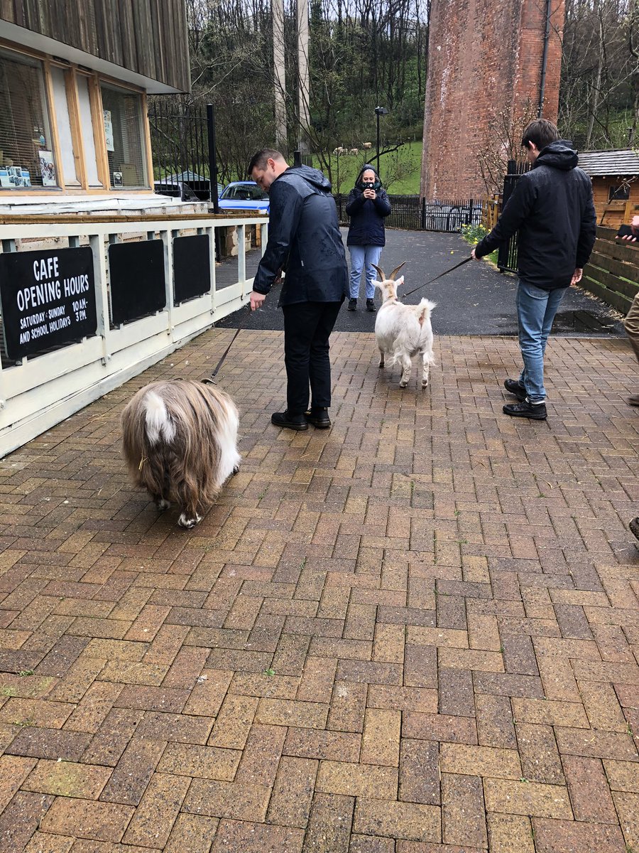 littlelizw's tweet photo. Amazing morning visiting @OuseburnFarm with the UKP team @TNLComFund Thanks so much for having us! #carefarm #Funding #animals #goatwalking #volunteers #dayout @PatersonHannah @Rhian_Thomas123 https://t.co/Zs4B66lAeS