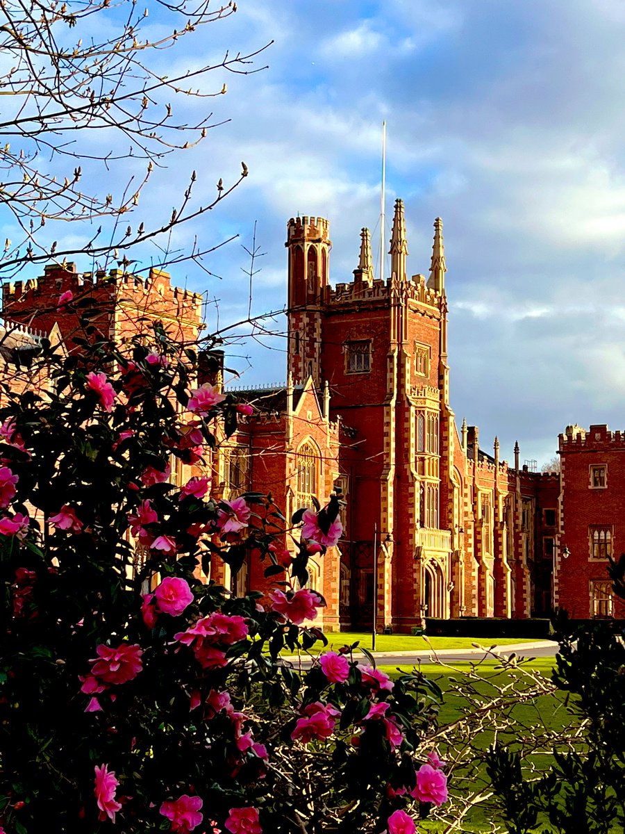 Deedy_07's tweet photo. #LoveQUB https://t.co/gN8ZSOB4eG