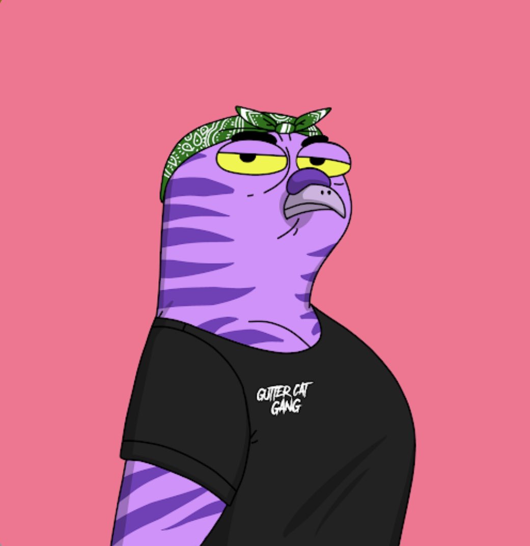 MsBeanGevol's tweet photo. to clone my pigeon or go clone by itself? what are you guys doing? thoughts on what you would do if you were me? #GutterCatGang #GutterLabs #GutterJuice #GangGang https://t.co/4n4Q8VeYk1