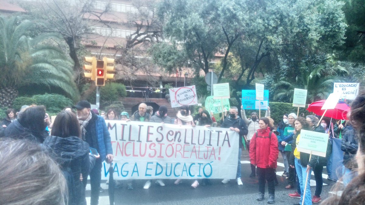 Escola Inclusiva tweet media