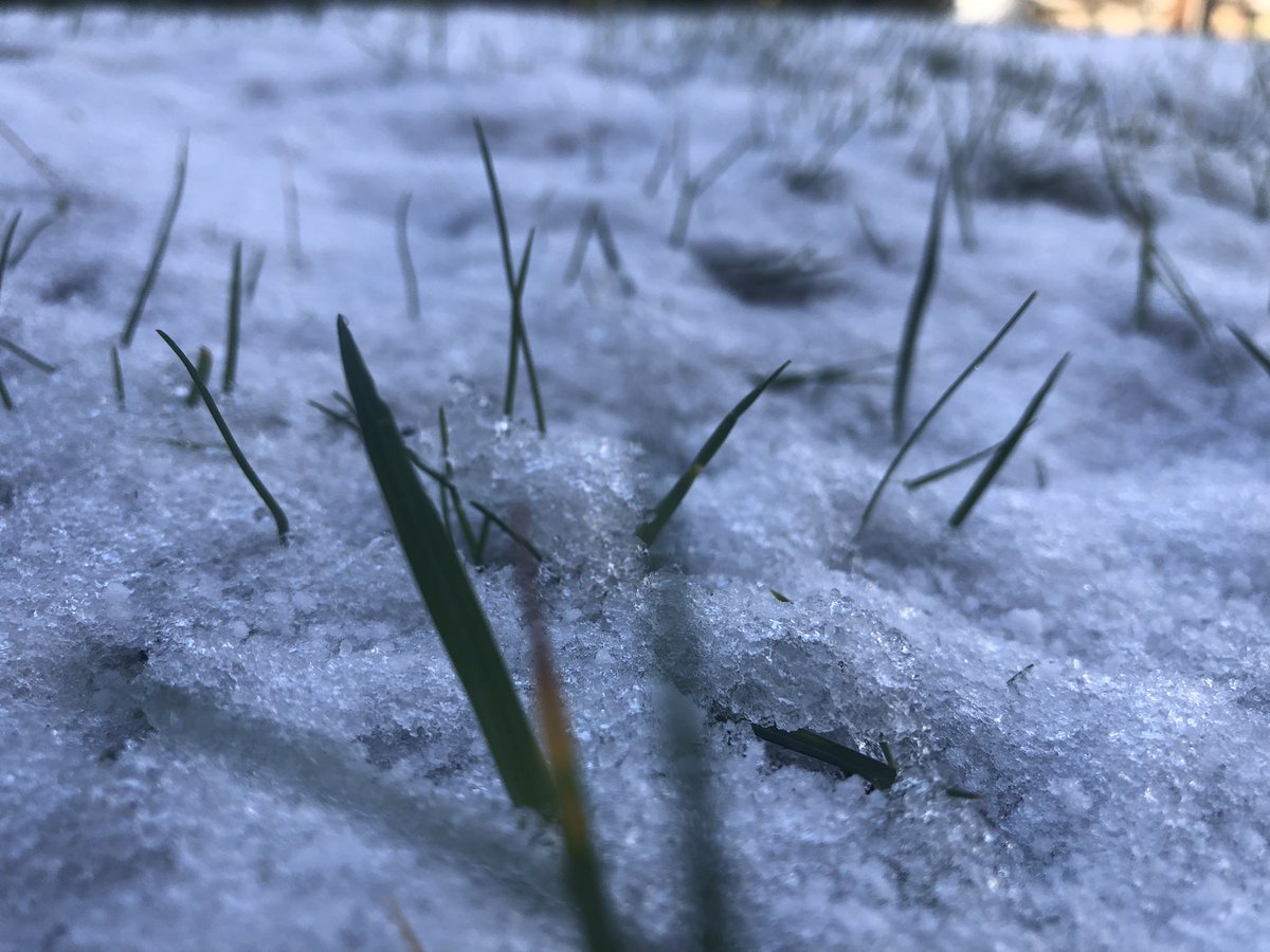 #snow is here or the #Lambingsnow as it's also called. #wednesdaywonder #SNOWING #nc500 #accommodation #familyfun