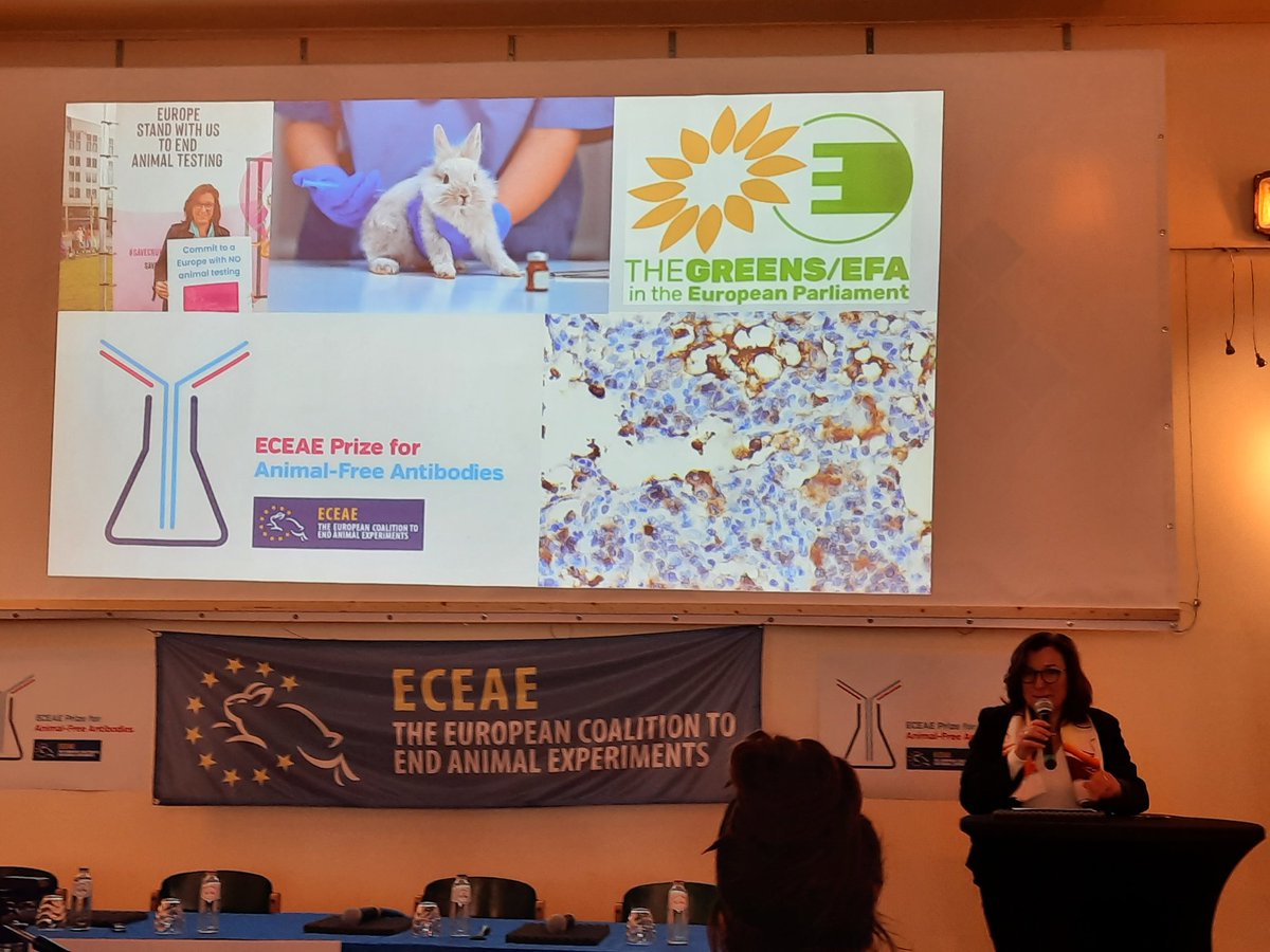 luisaEG4A's tweet photo. Today, #ECEAE is holding an event to award their prize for scientists developing animal-free antibodies with the presence of @MetzTilly, making the case to address the resistance to change and build on the awareness and confidence in, and use of  animal-free methods. 👏 https://t.co/mv57SpM8D0