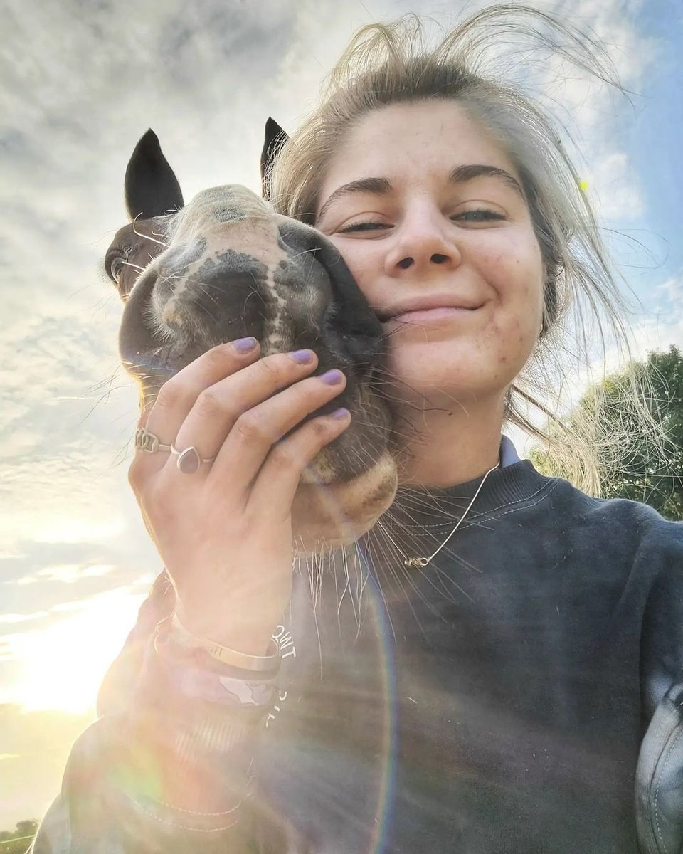 Hiho Silver tweet media