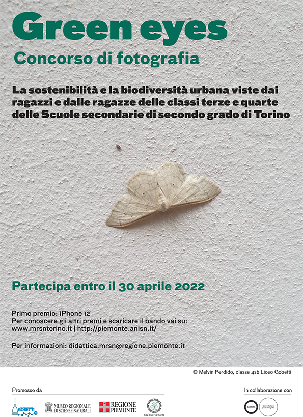 MRSN Torino (@mrsntorino) on Twitter photo Green Eyes. La sostenibilità vista dai ragazzi: un concorso fotografico-documentaristico naturalistico riservato alle allieve e allievi delle classi terze e quarte della scuola secondaria di secondo grado della città di Torino
 mrsntorino.it/cms/i-servizi-… Green Eyes. La sostenibilità vista dai ragazzi: un concorso fotografico-documentaristico naturalistico riservato alle allieve e allievi delle classi terze e quarte della scuola secondaria di secondo grado della città di Torino
 mrsntorino.it/cms/i-servizi-…