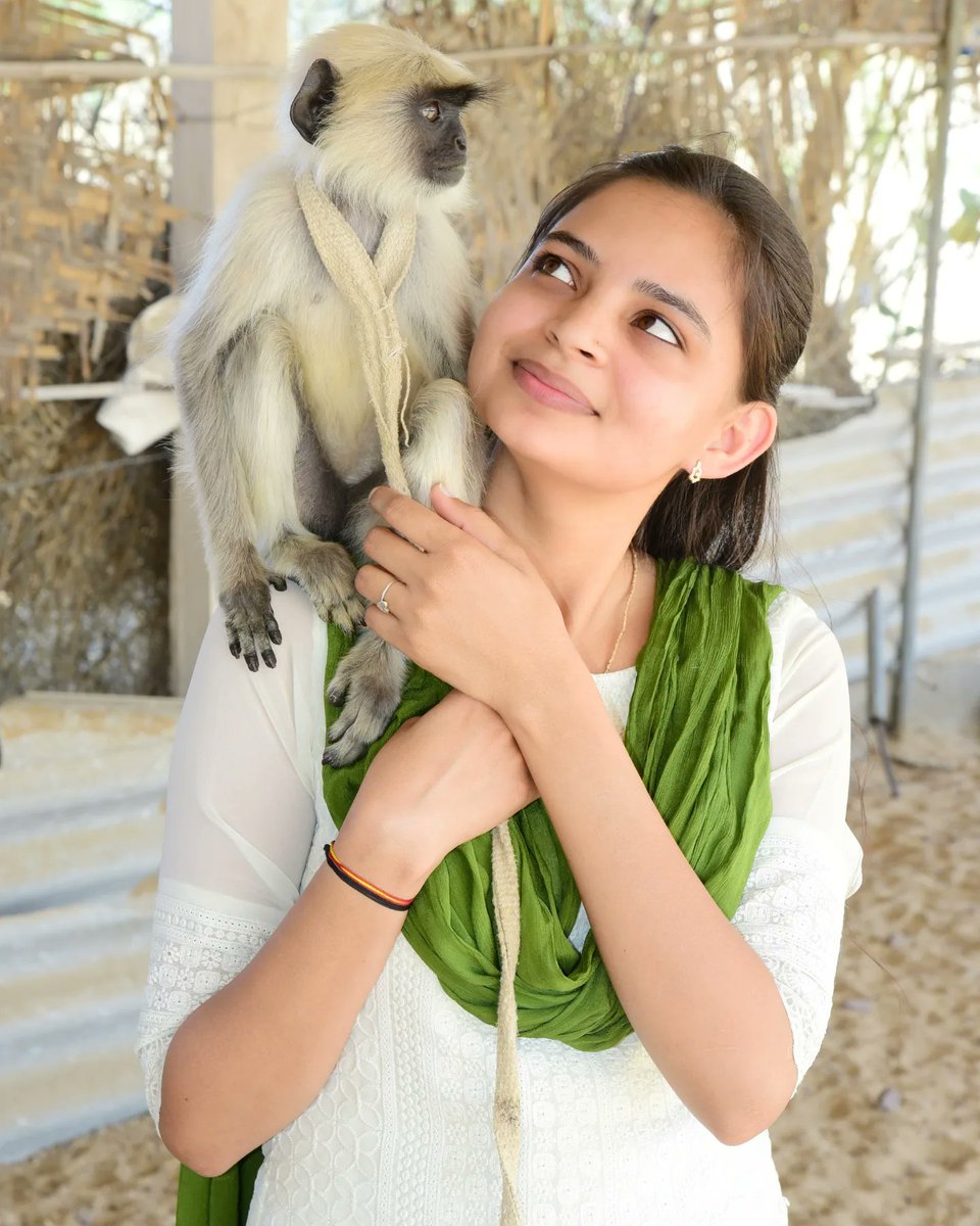 #loveanimals #motivational

Love Animals 💖🐒