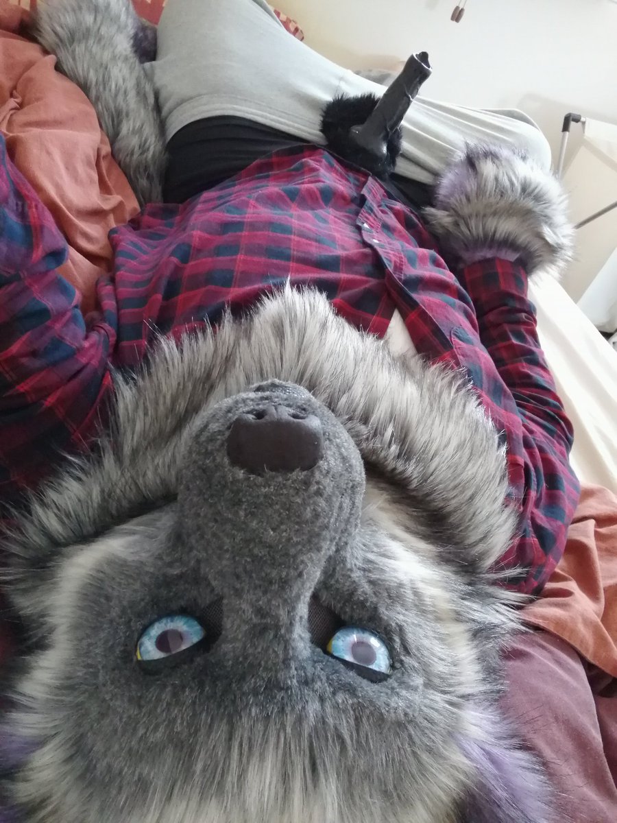 FurryPandaGuyAD's tweet photo. @CUMBRAINDERG Haven't take many but I love this one 😘 https://t.co/BZn00Ep8w4