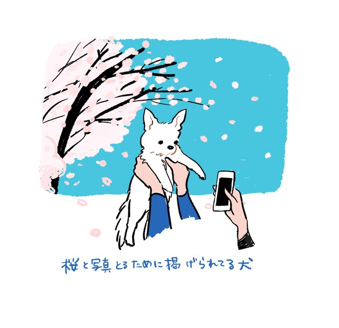 「チヤキ/CHAKI@chackiin」 illustration images(Latest)