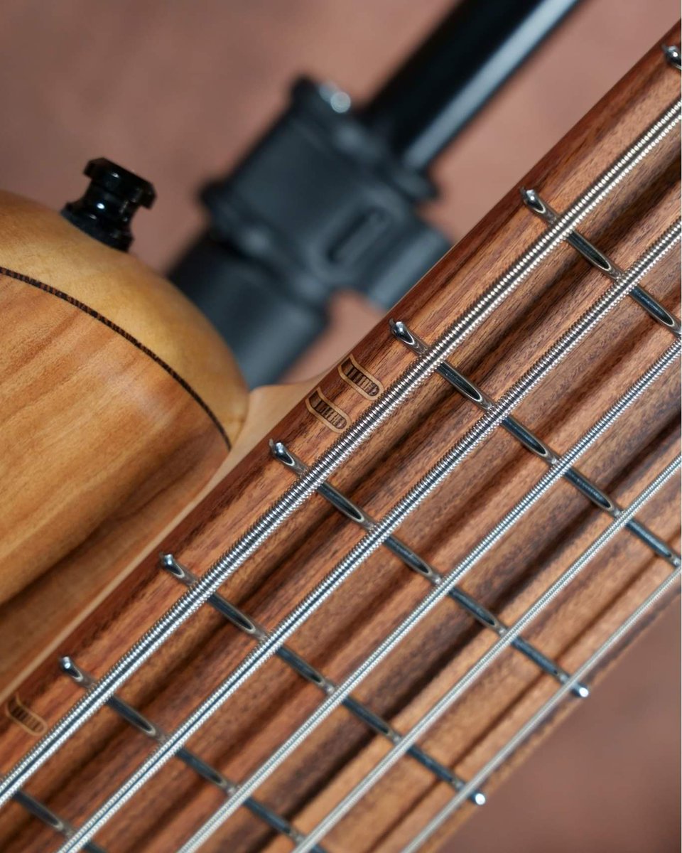 ties__store's tweet photo. オランダのハンドメイドベース入荷です！

https://t.co/hv6TW53Kkc

#adamovicbasses #madeinnetherlands🇳🇱 https://t.co/HVEHyv2eEd