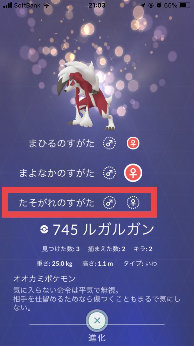 たけぞう Takezo イワンコ100 Get たそがれのすがたの実装が楽しみ ポケモンgo Pokemongo イワンコ たそがれのすがた T Co 9hqttnkmif Twitter