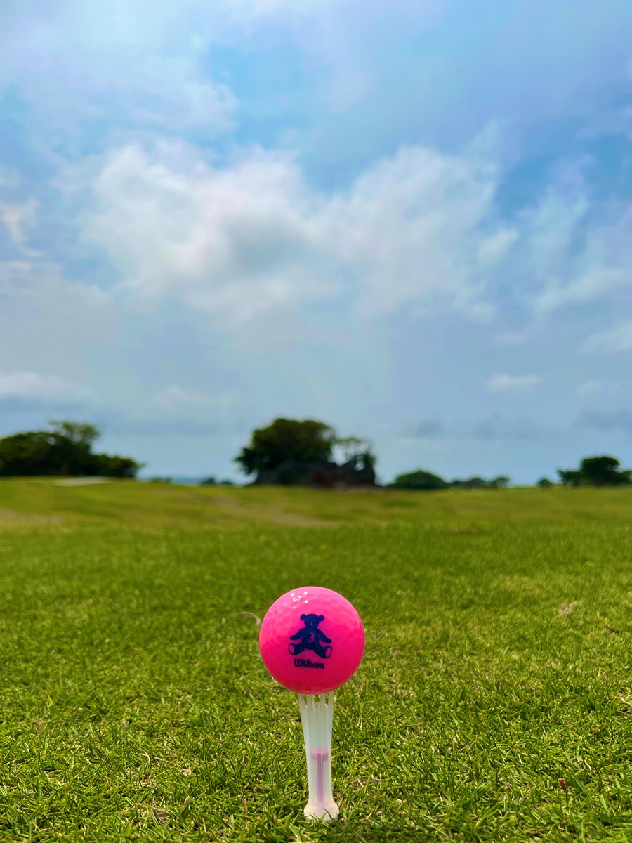 mbt1127's tweet photo. 全然スコアだめだめなのに人生3回目のラウンドにして沖縄ゴルフ🏌️‍♀️⛳️🤍
女2人で2日連続回ったけど前後優しいおじ様ばかりでゆっくり楽しくできたあ🌺✨
見た目から入るタイプだからLEXUSのゴルフウェアかパーリーしか着てない。なのに下手くそというギャップ🤭💭 https://t.co/gxZdiCosBa