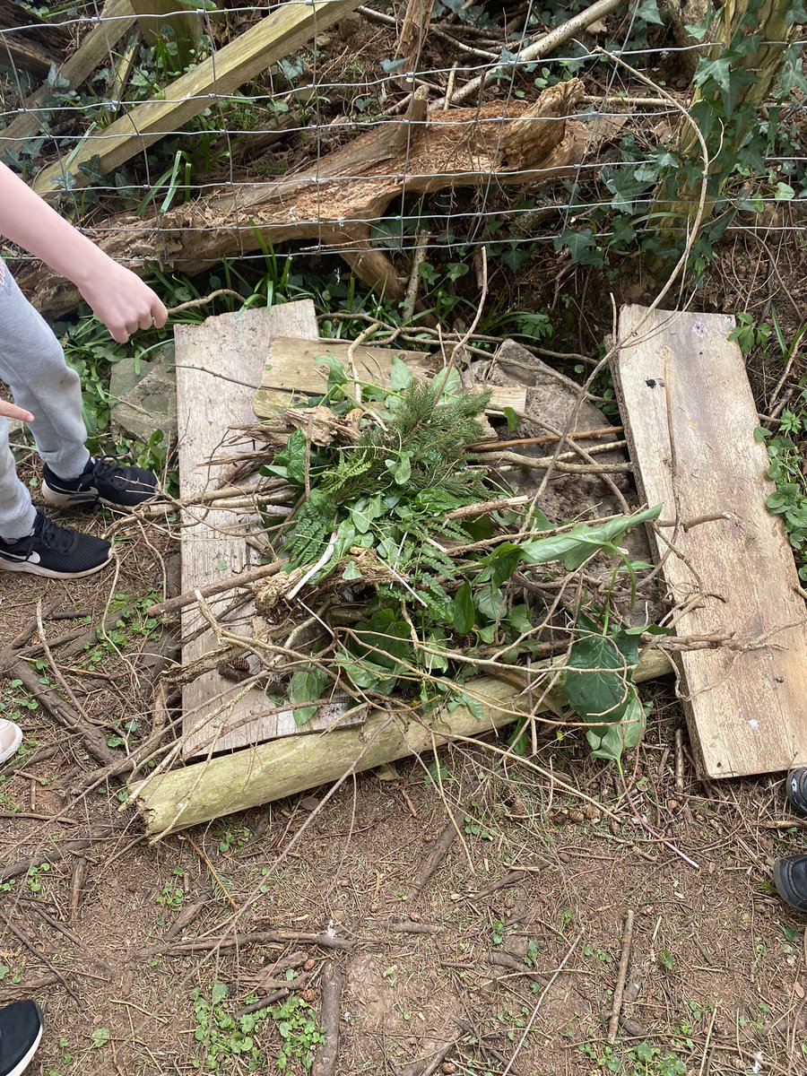 Llanhari Primary tweet media