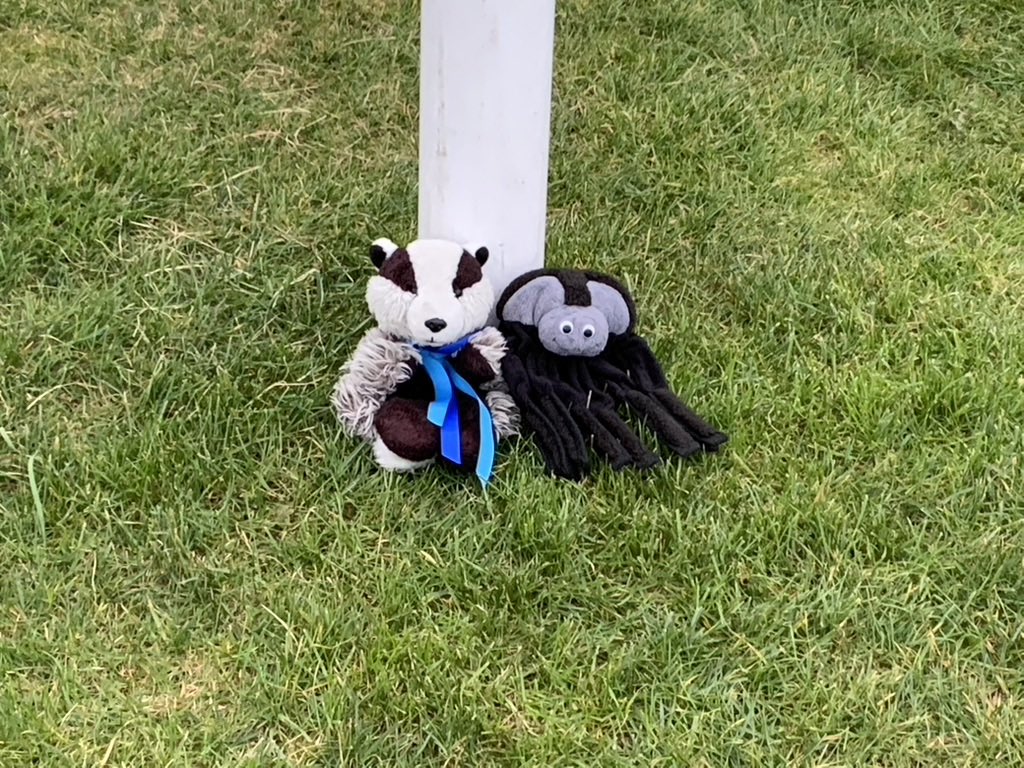 The link to 23 mins of video action with commentary from the <a href="/CoventryCup/">Coventry Telegraph Cup</a> game, <a href="/StocktonFc/">Stockton FC</a> 0-1 <a href="/dunlop_fc/">DunlopFC</a> is NOW at themowdog.blogspot.com 🙏 retweet! <a href="/KevKingham/">Kev Kingham</a> <a href="/1coler/">Luke cole</a> <a href="/NonLeagueBlogs/">NonLeagueBlogs</a> <a href="/NLeagueToday/">Non League Today</a> 
<a href="/NonLeagueNews1/">Non-League News</a>  <a href="/NonLeagueCrowd/">Non League Crowds</a>  <a href="/WMFootieScene/">West Midlands Non-League Footie Scene</a> <a href="/UnderThePrem/">Under The Prem</a>