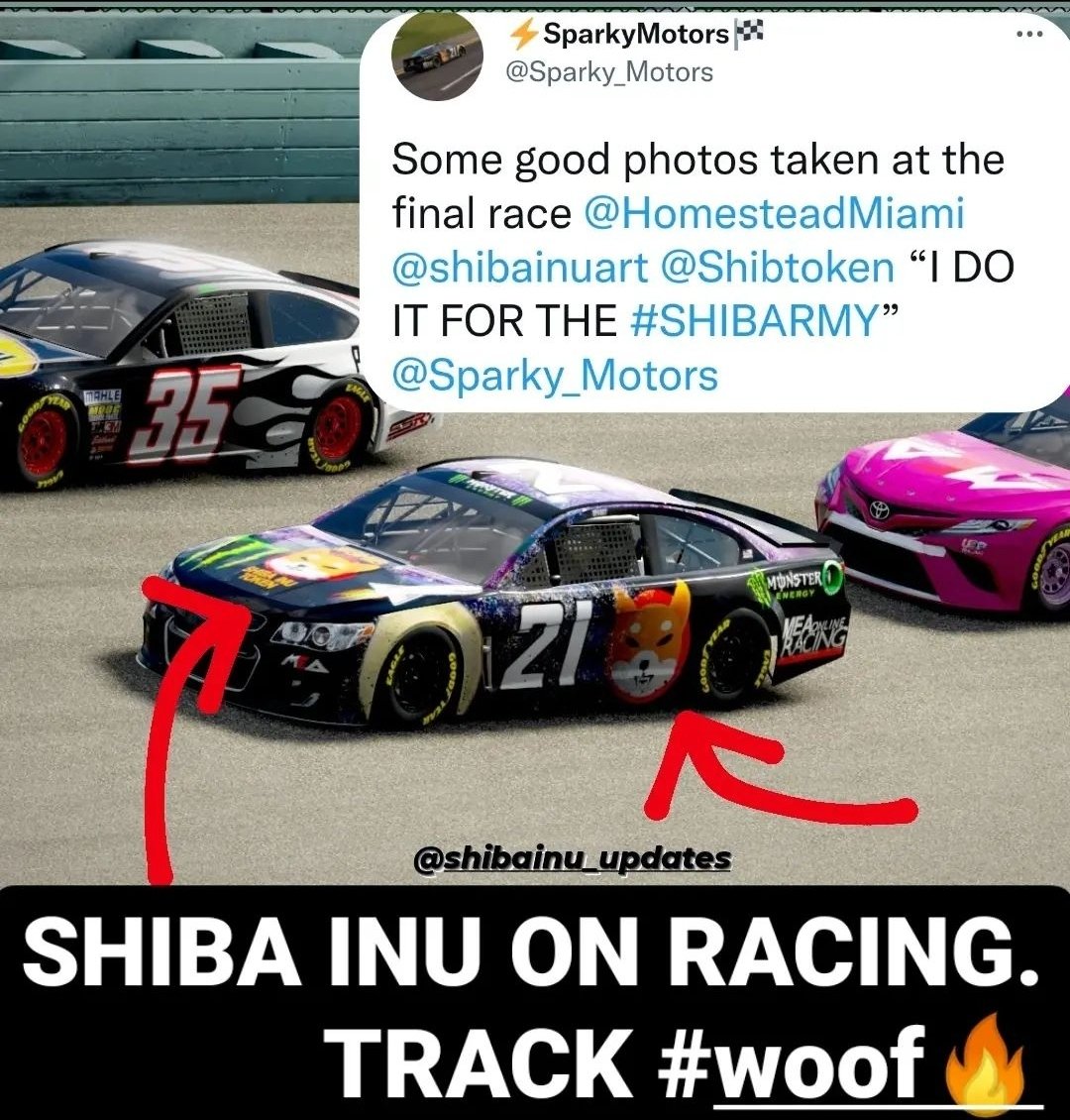 🇵🇷J👻o🐶n#SHIB#3🐶1👻6🇵🇷 tweet media