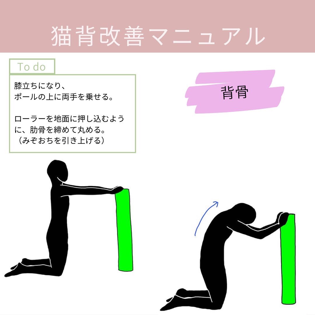 カモさん 猫背民を減らすひと 個人的にめちゃくちゃ好きな ストレッチポール使い方がこれ 背骨 うぅ っ ふぅ ってなるくらい気持ちいいから 猫背民も反り腰民も お試しあれ T Co Qbj5j5omcw Twitter