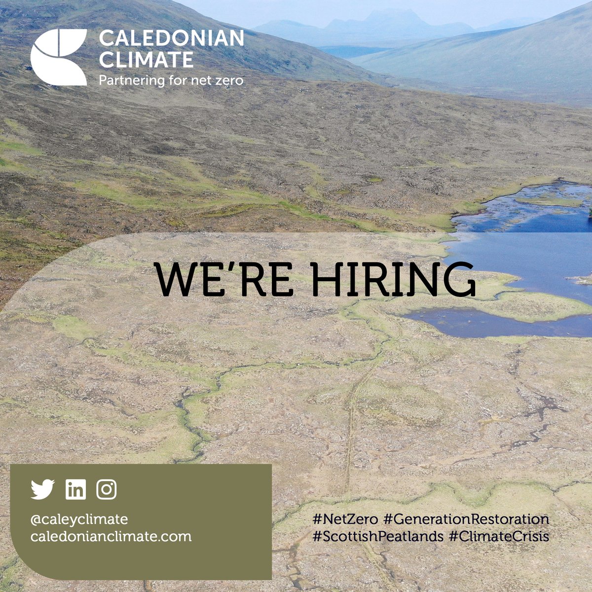 CaleyClimate's tweet image. Our team at Caledonian Climate is #growing!

We are currently looking for #motivated and #ambitious action takers to join our growing #business during this exciting period, as we scale up to deliver #peatland #restoration across the #Scottish uplands.  

caledonianclimate.com/careers