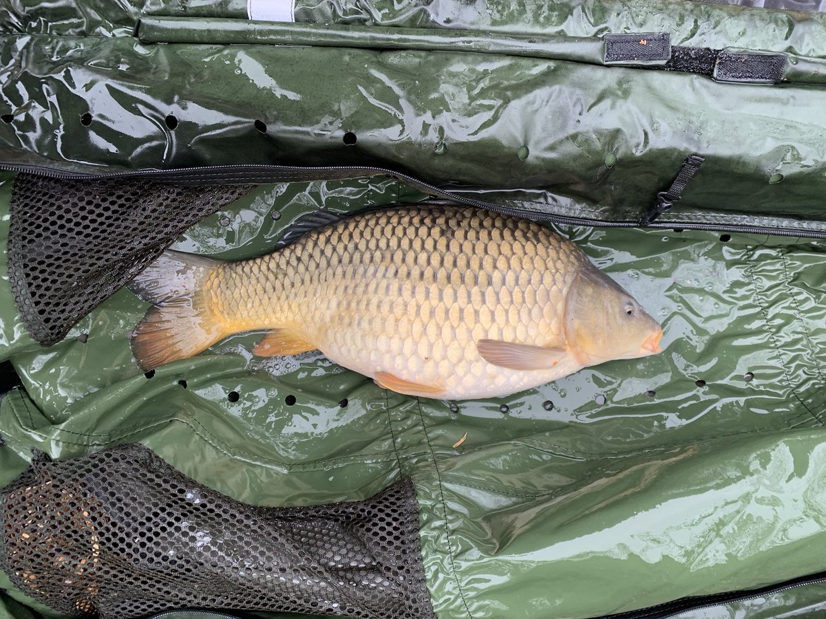 SeanSpe85096058's tweet photo. Well an unexpected day off son thought Iโd get the carp rods out. First rod was away 2mins after Iโd put it down by its bloody freezing ๐ฅถ #carpfishing #springhasntsprung https://t.co/0rvn6Ca1x8